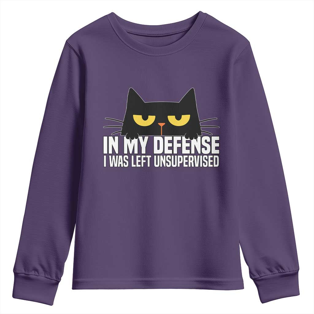 Sarcastic Black Cat Youth Sweatshirt In My Defense I Was Left Unsupervised - Wonder Print Shop