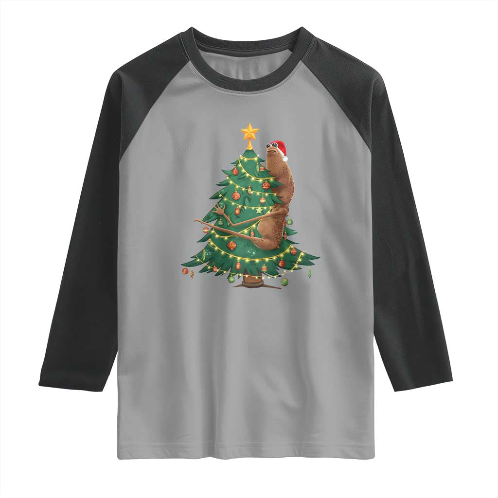 Marcus The Worm Robert Meme Funny Christmas Raglan Shirt - Wonder Print Shop