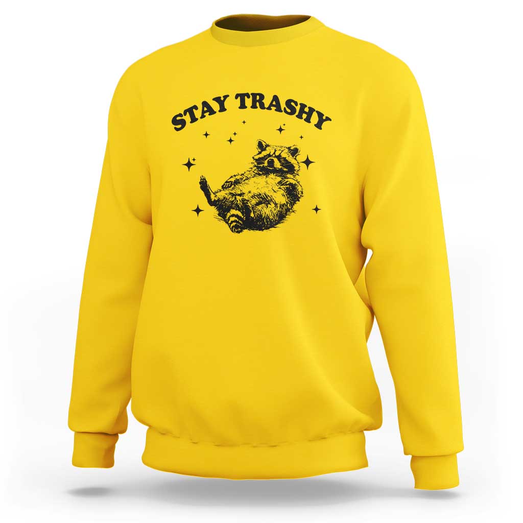 Funny Raccoon Meme Sweatshirt Stay Trashy