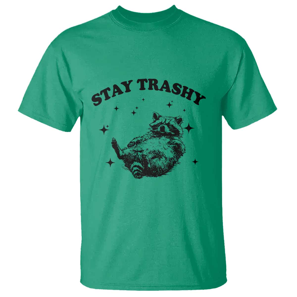 Funny Raccoon Meme T Shirt Stay Trashy