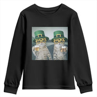 Funny St Patricks Day Cats Drinking Beer Meme Youth Sweatshirt