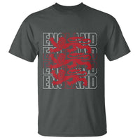 England Flag Lion Symbol English Pride T Shirt