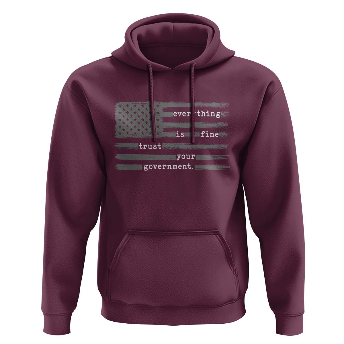 Everything is Fine Trust Your Government Hoodie Funny Political Sarcastic American Flag