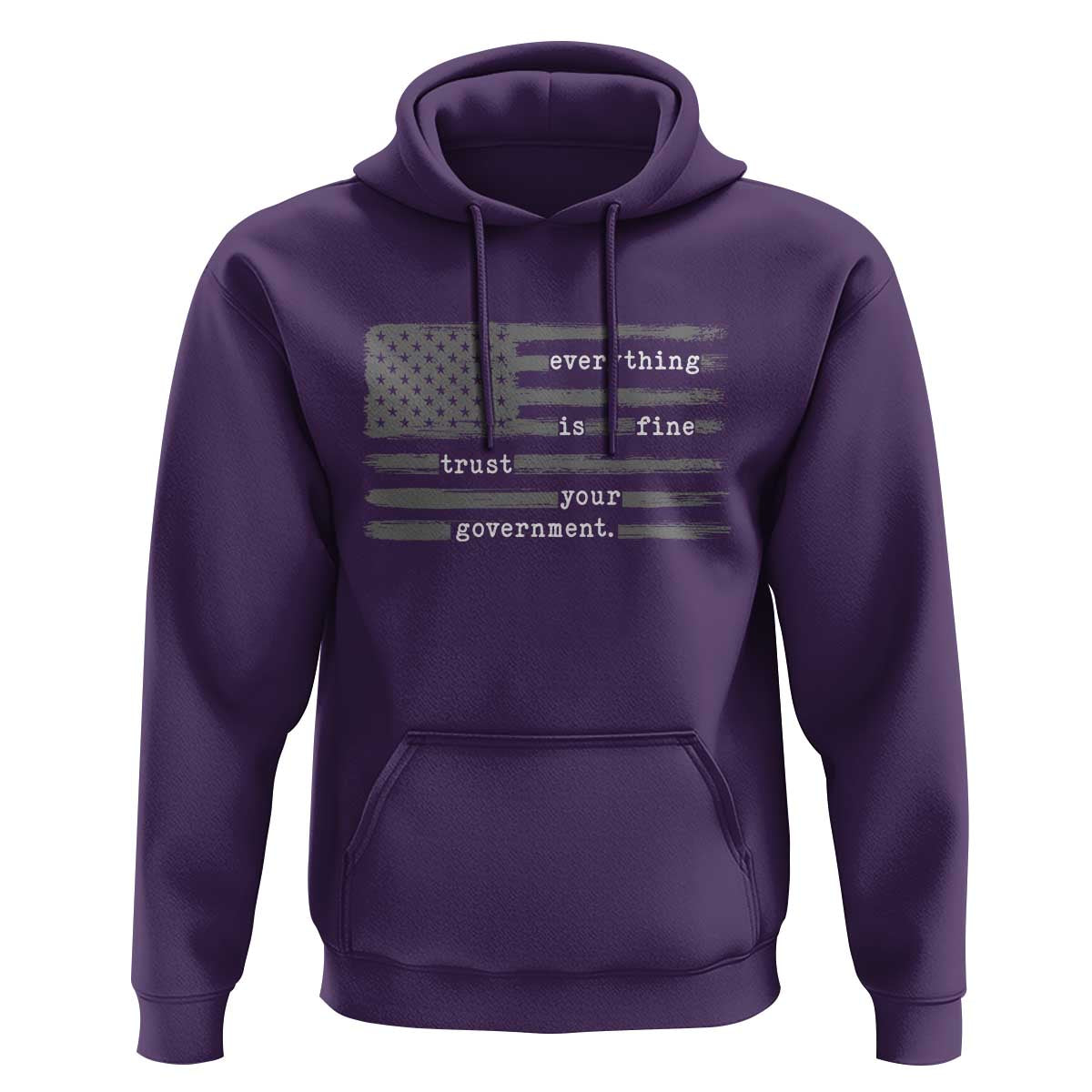 Everything is Fine Trust Your Government Hoodie Funny Political Sarcastic American Flag