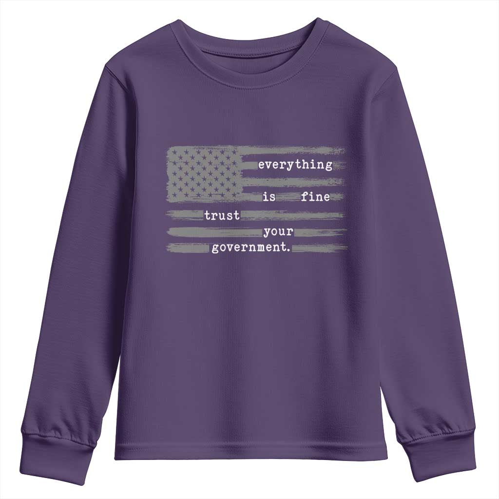 Everything is Fine Trust Your Government Youth Sweatshirt Funny Political Sarcastic American Flag