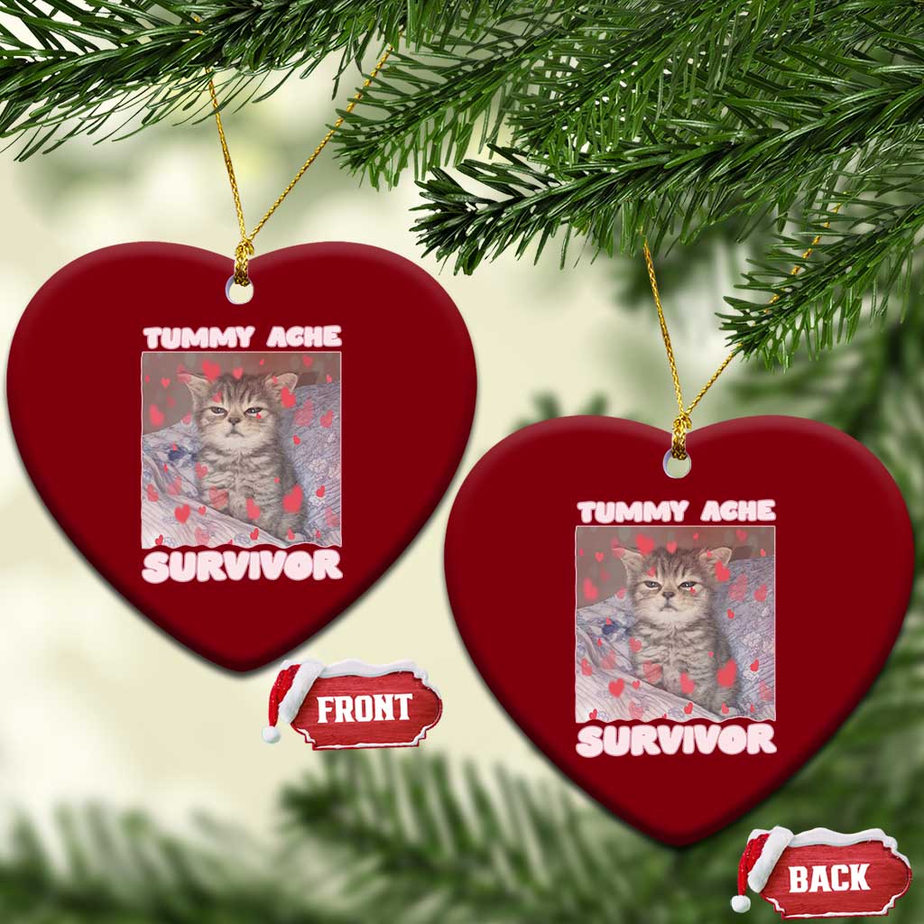 Tummy Ache Survivor Ceramic Ornament Funny Cute Cat Meme - Wonder Print Shop
