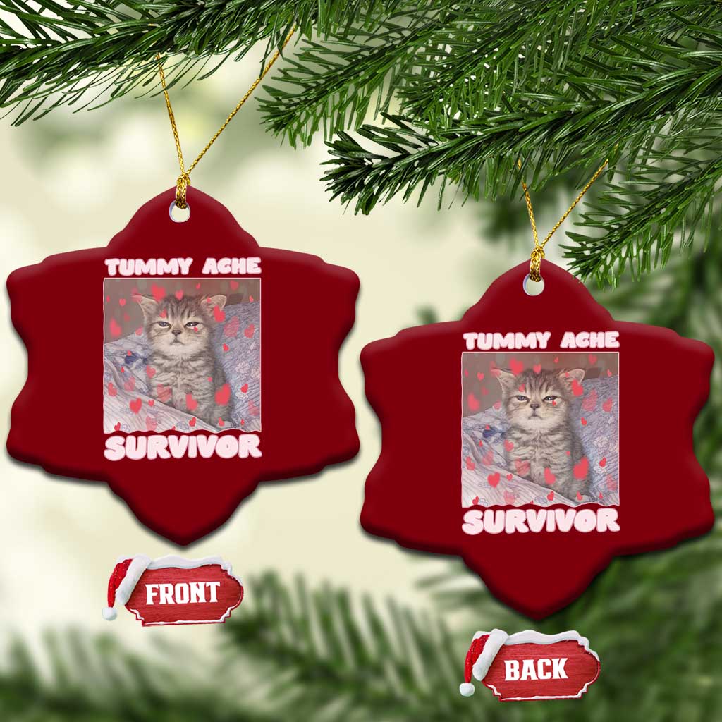 Tummy Ache Survivor Ceramic Ornament Funny Cute Cat Meme - Wonder Print Shop