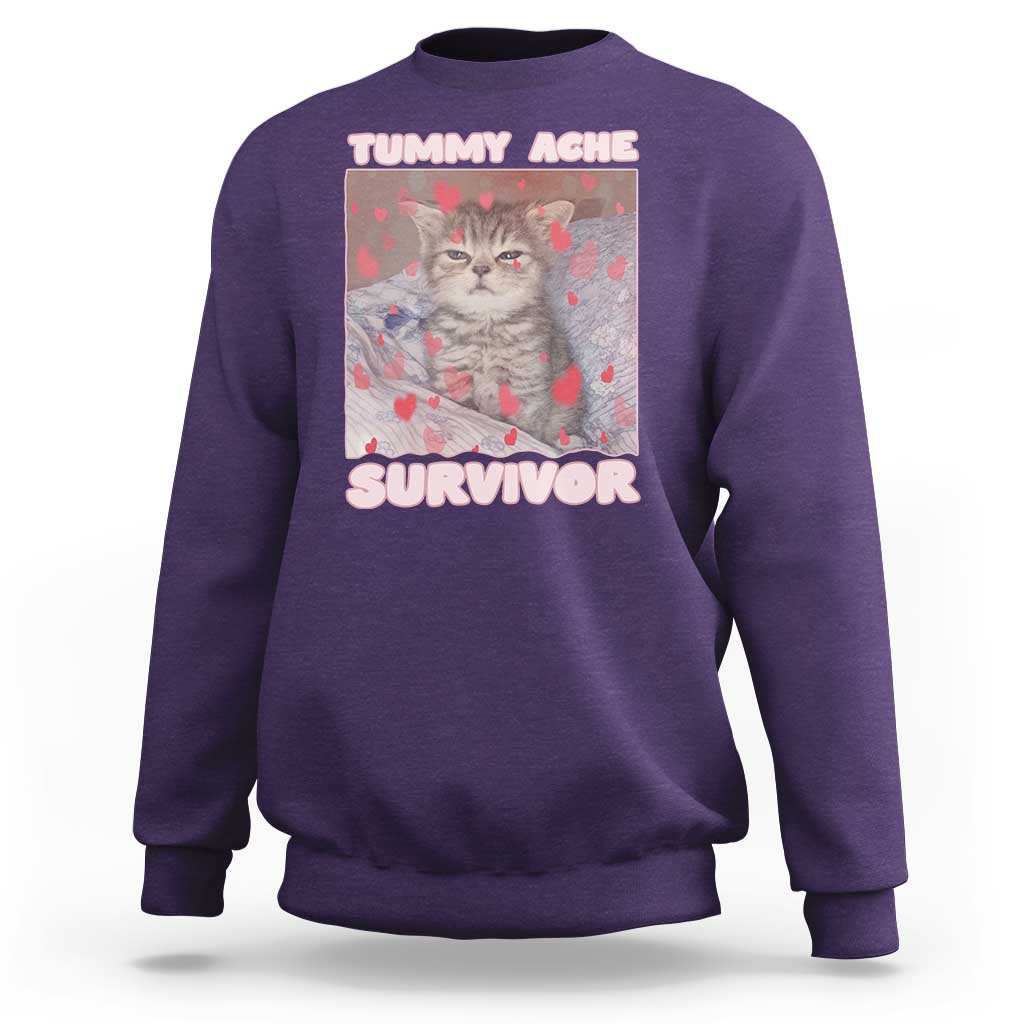 Tummy Ache Survivor Sweatshirt Funny Cute Cat Meme - Wonder Print Shop