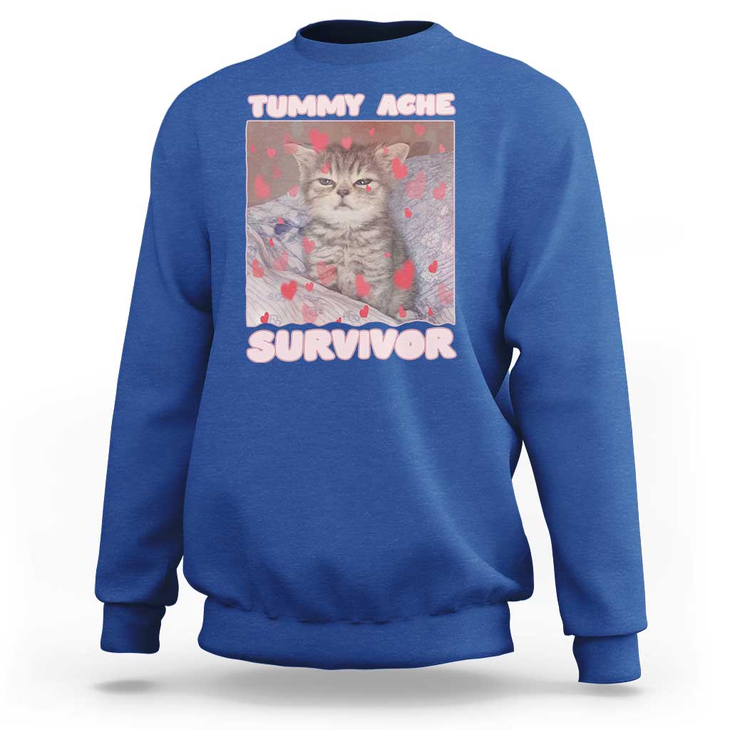 Tummy Ache Survivor Sweatshirt Funny Cute Cat Meme - Wonder Print Shop