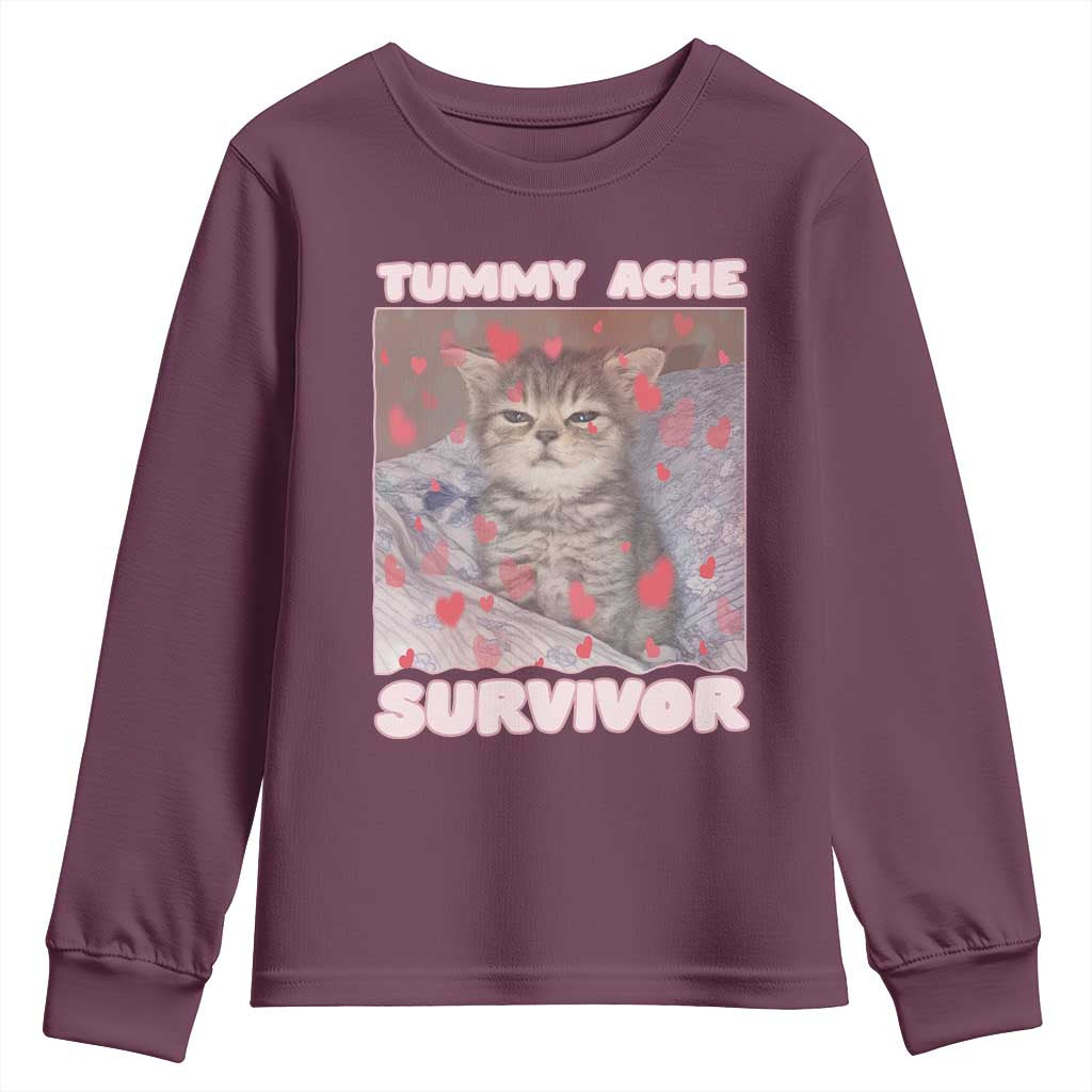 Tummy Ache Survivor Youth Sweatshirt Funny Cute Cat Meme - Wonder Print Shop
