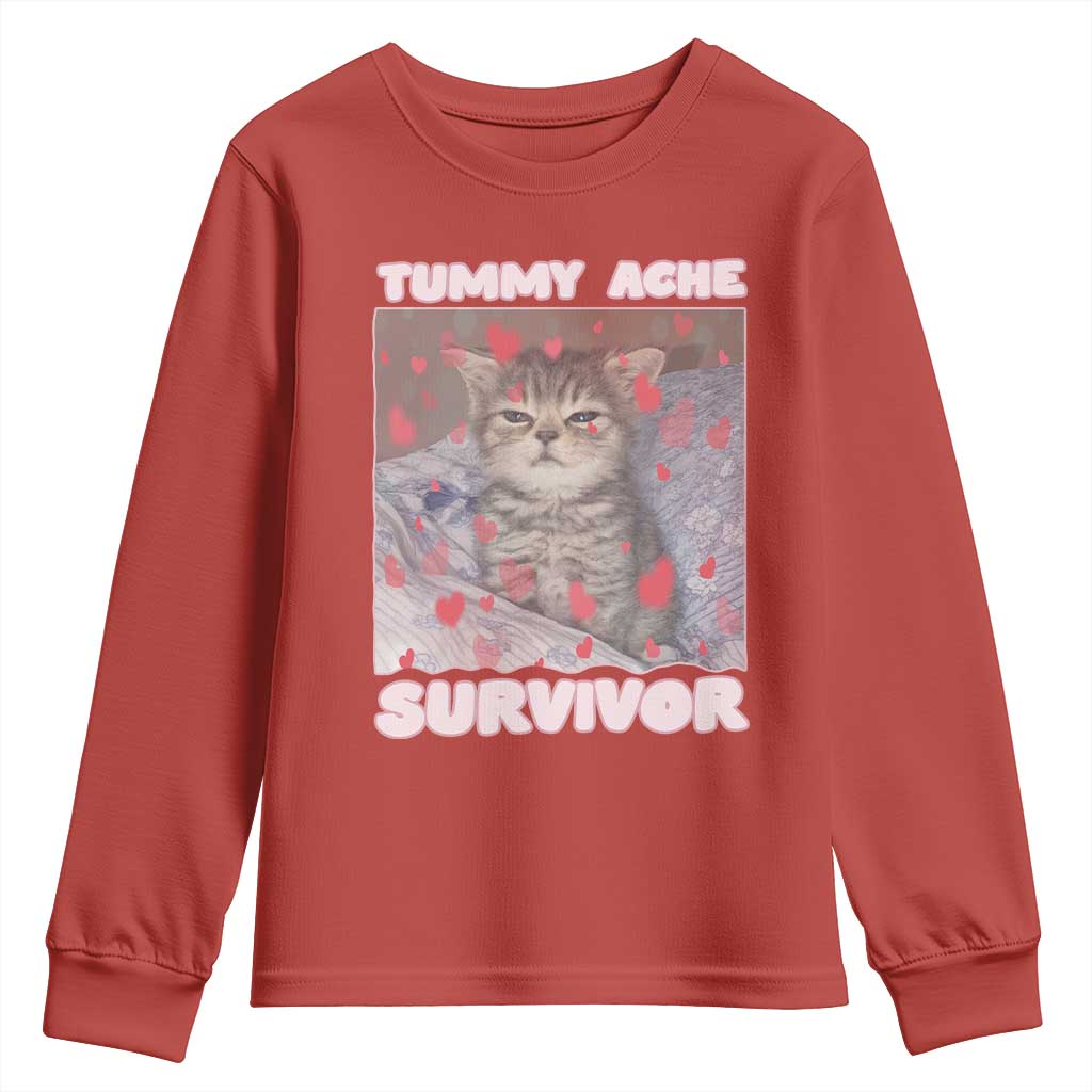 Tummy Ache Survivor Youth Sweatshirt Funny Cute Cat Meme - Wonder Print Shop