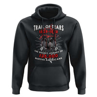 Native American Trail Of Tears Deadly Journey Hoodie - Wonder Print Shop
