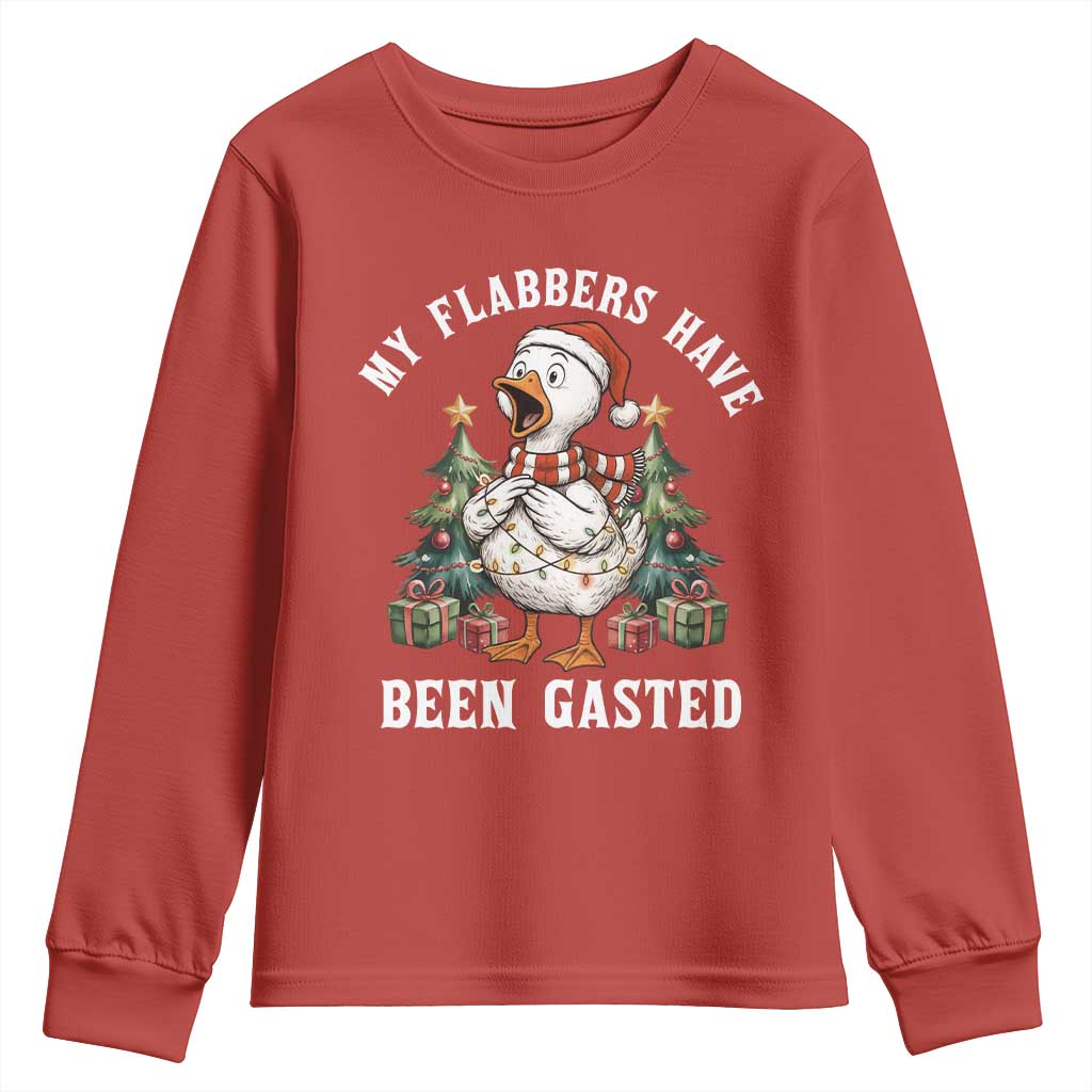 My Flabbers Have Been Gasted Youth Sweatshirt Funny Goose Christmas - Wonder Print Shop