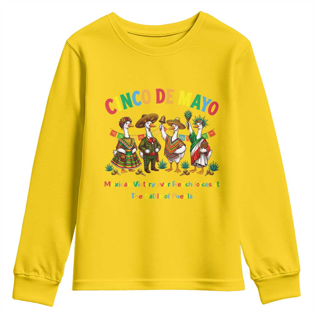 Cinco de Mayo Mexican Victory Youth Sweatshirt Silly Goose Festive Heritage Puebla Battle 1862