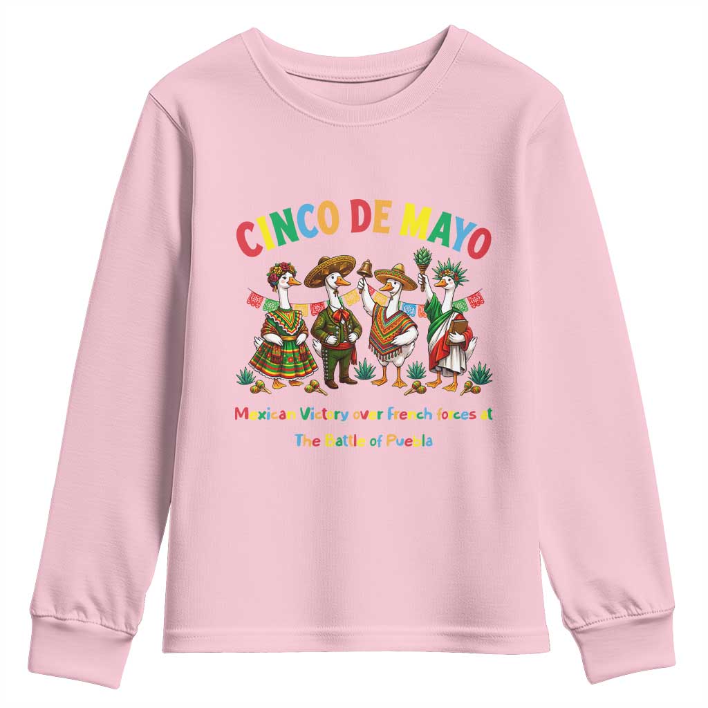 Cinco de Mayo Mexican Victory Youth Sweatshirt Silly Goose Festive Heritage Puebla Battle 1862