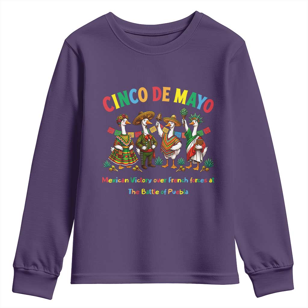 Cinco de Mayo Mexican Victory Youth Sweatshirt Silly Goose Festive Heritage Puebla Battle 1862
