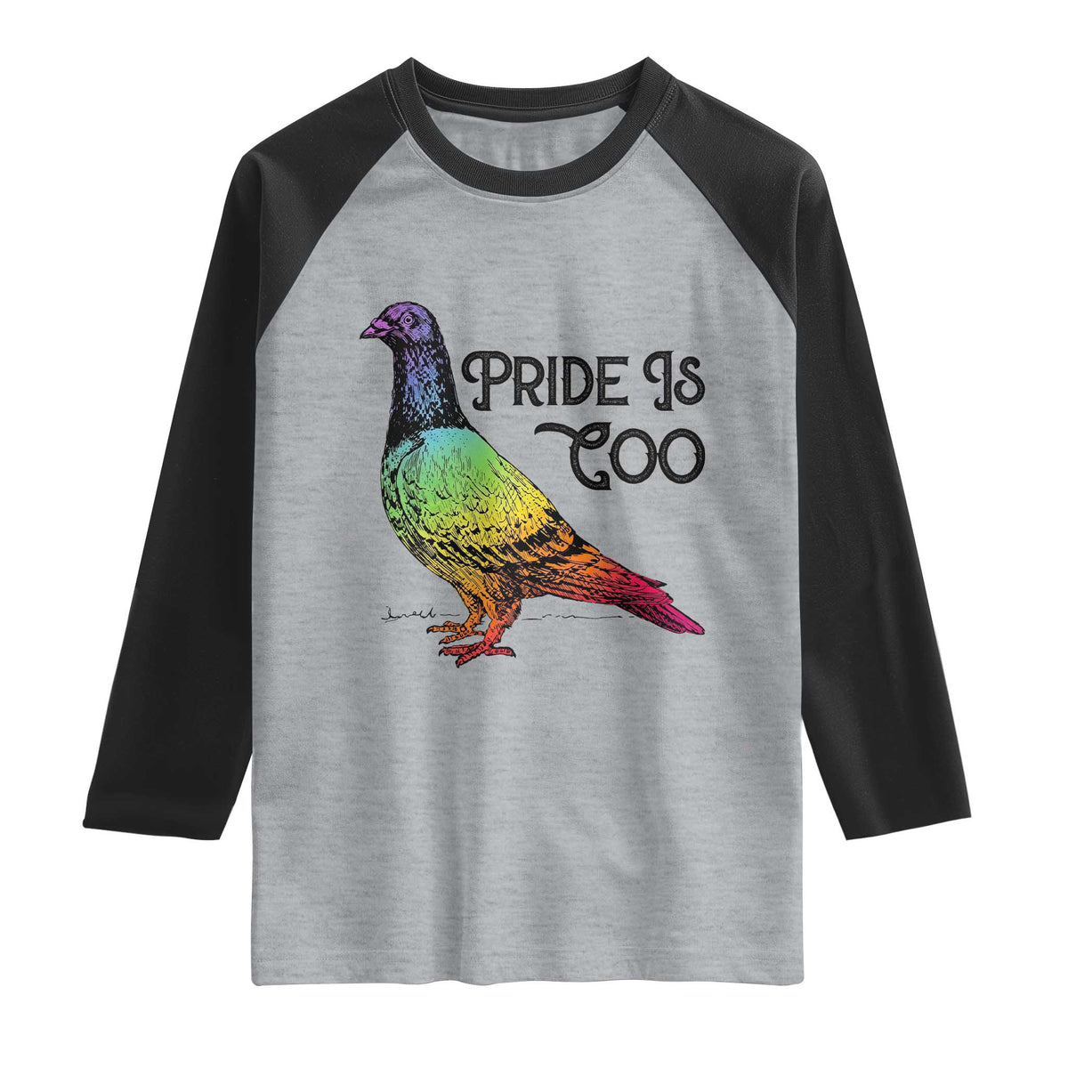 Pride Is Coo Pigeon Raglan Shirt Funny LGBTQ Pride Month