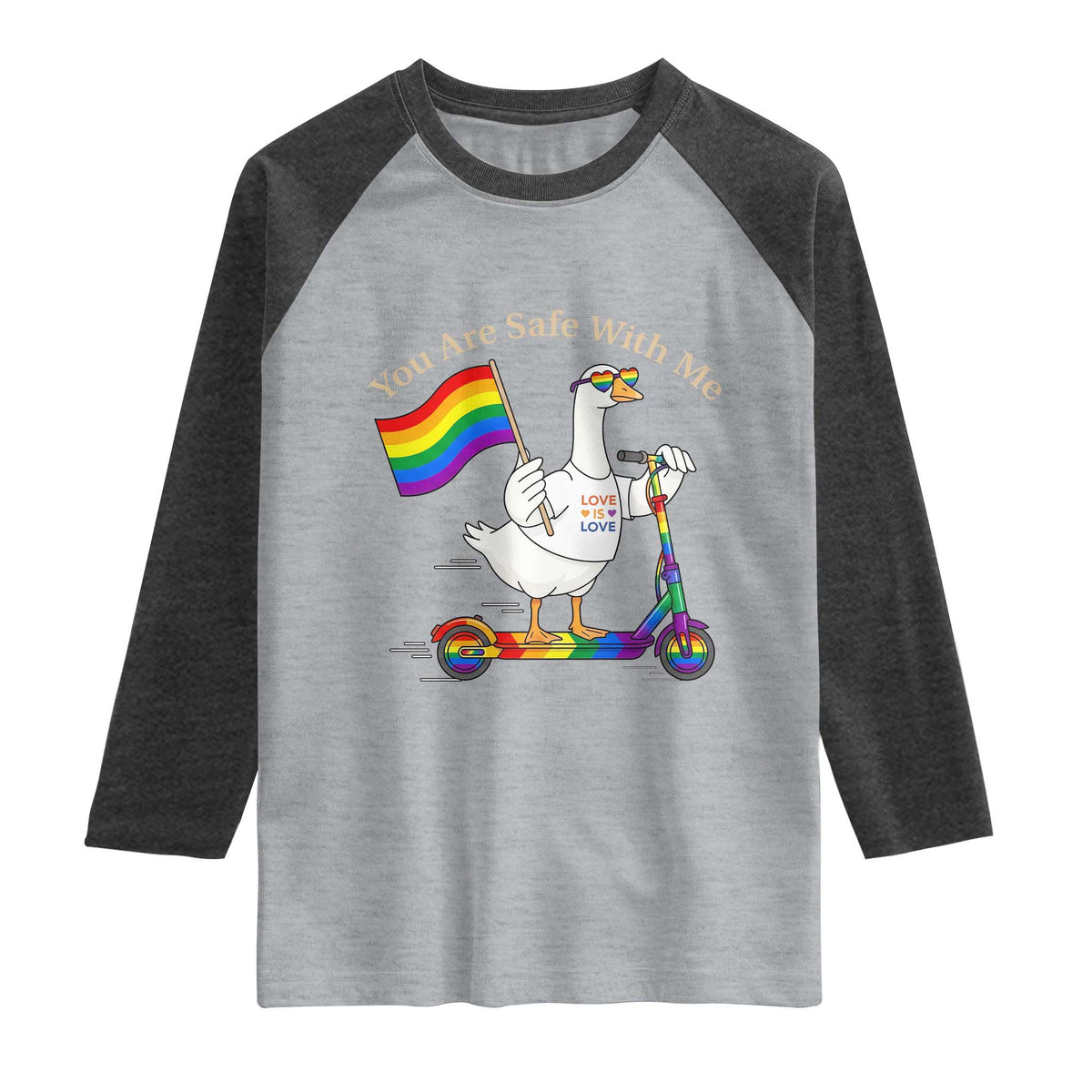 You Are Safe With Me Raglan Shirt LGBTQ Pride Goose Rainbow