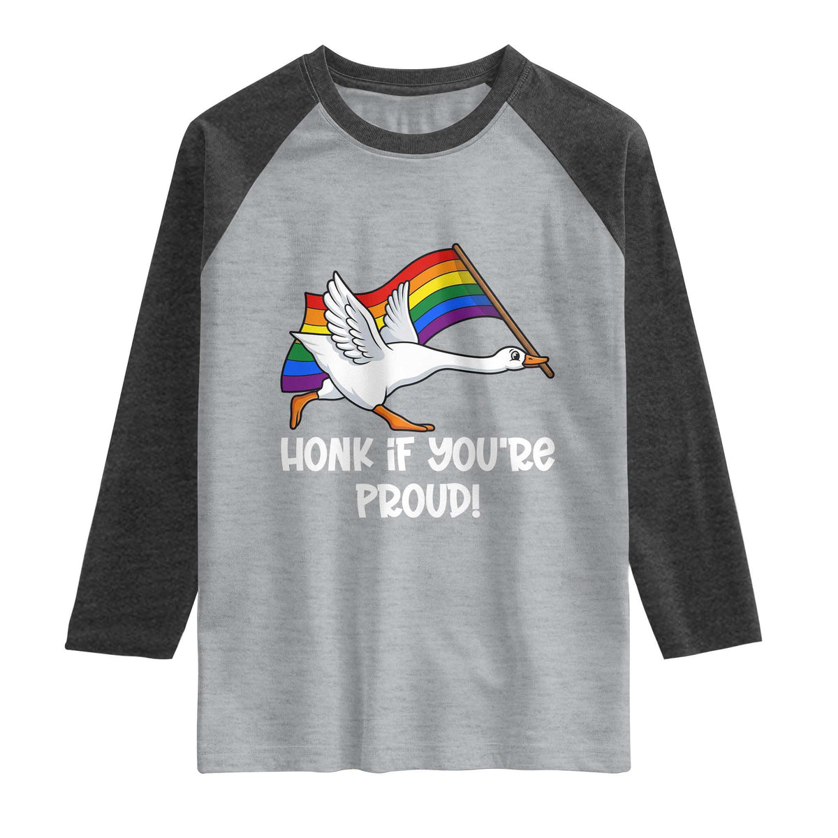 Silly Goose LGBTQ Rainbow Raglan Shirt Honk If You're Proud