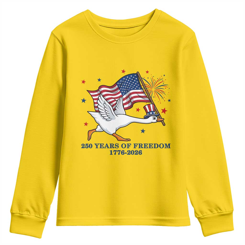 Freedom 250th Anniversary Youth Sweatshirt Funny 4th Of July Silly Goose