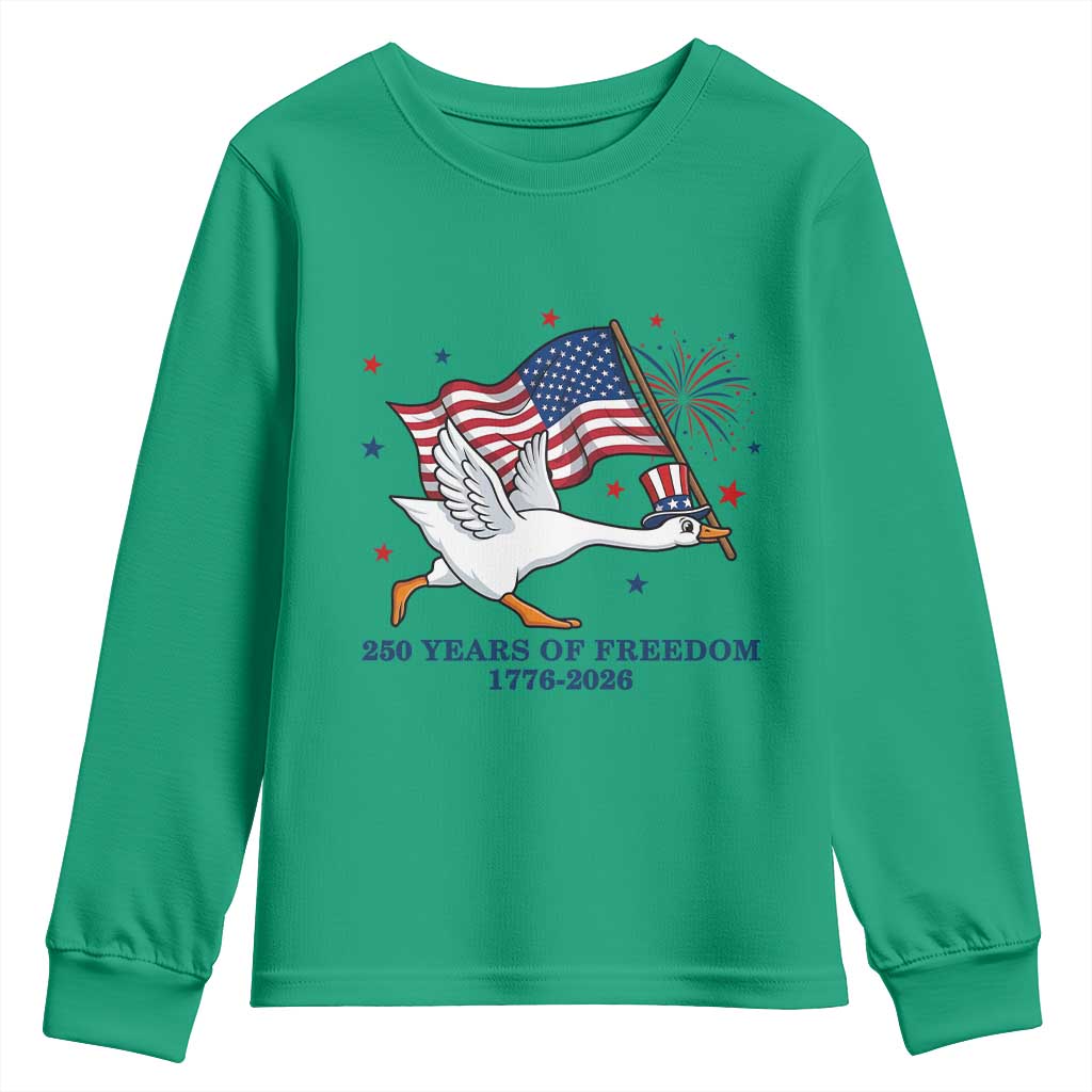 Freedom 250th Anniversary Youth Sweatshirt Funny 4th Of July Silly Goose