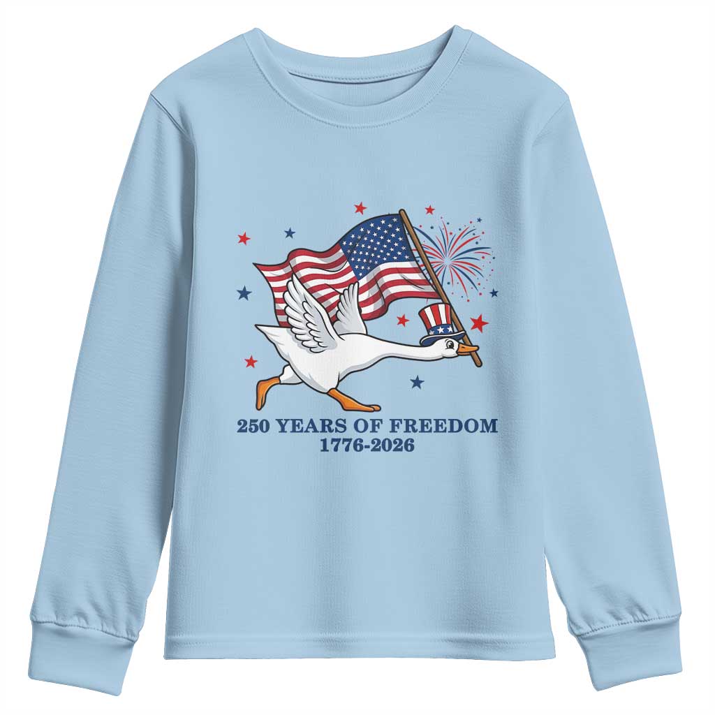 Freedom 250th Anniversary Youth Sweatshirt Funny 4th Of July Silly Goose