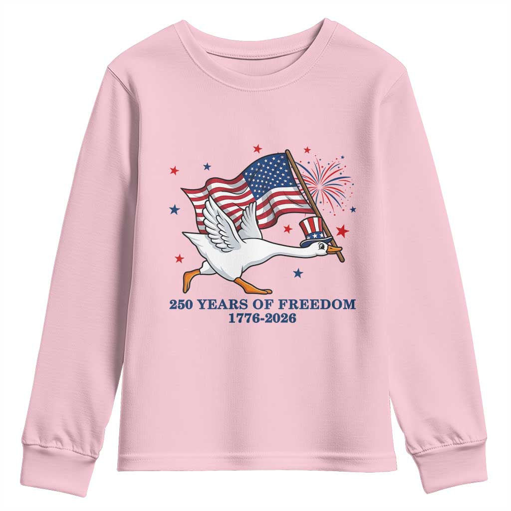 Freedom 250th Anniversary Youth Sweatshirt Funny 4th Of July Silly Goose