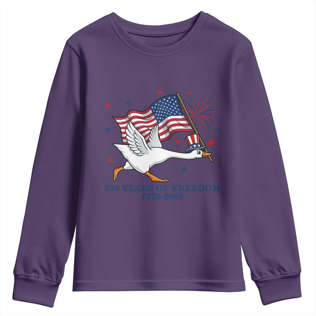 Freedom 250th Anniversary Youth Sweatshirt Funny 4th Of July Silly Goose