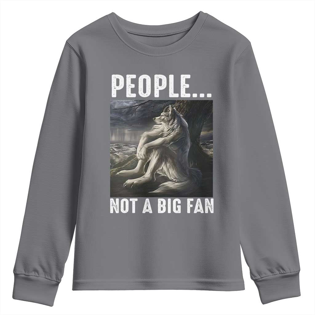 Funny Alpha Wolf Meme Youth Sweatshirt Sarcastic People Not A Big Fan - Wonder Print Shop