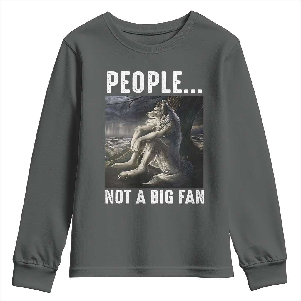 Funny Alpha Wolf Meme Youth Sweatshirt Sarcastic People Not A Big Fan - Wonder Print Shop