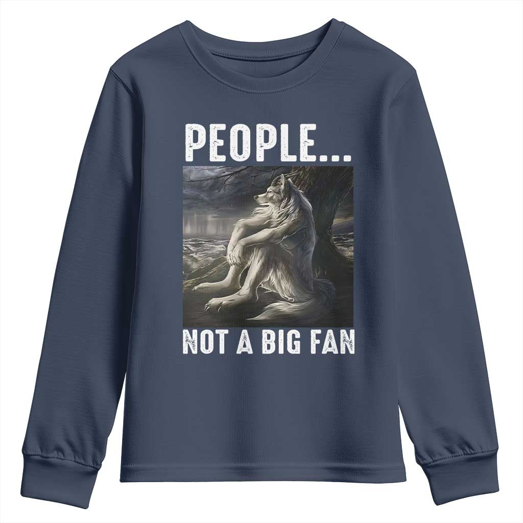Funny Alpha Wolf Meme Youth Sweatshirt Sarcastic People Not A Big Fan - Wonder Print Shop