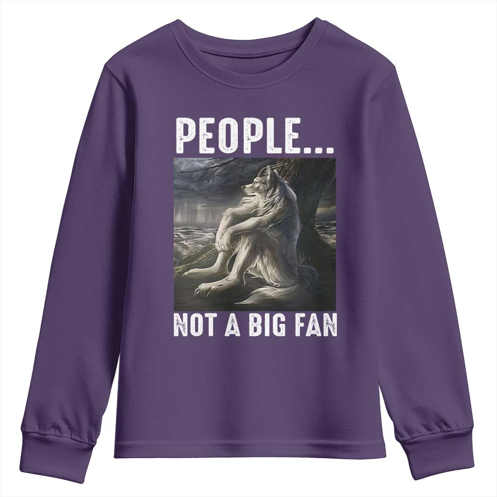 Funny Alpha Wolf Meme Youth Sweatshirt Sarcastic People Not A Big Fan - Wonder Print Shop