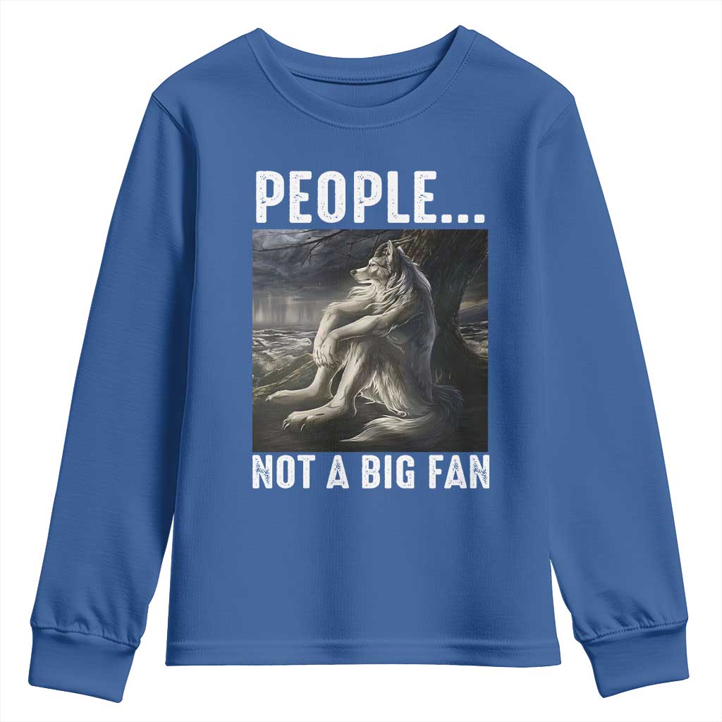 Funny Alpha Wolf Meme Youth Sweatshirt Sarcastic People Not A Big Fan - Wonder Print Shop