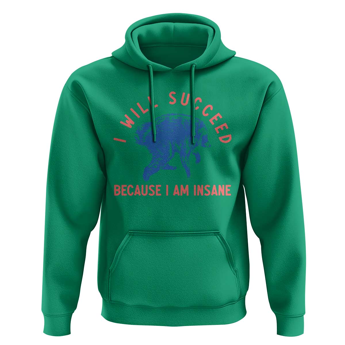 I Will Succeed Because I Am Insane Hoodie Funny Jimothy Raccoon Meme