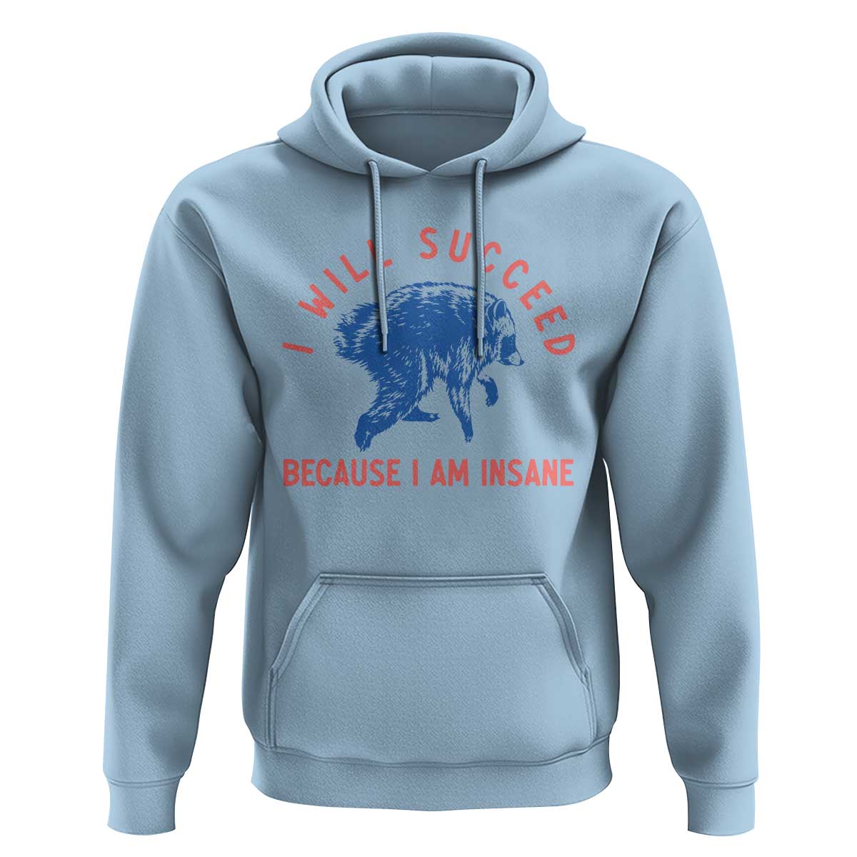 I Will Succeed Because I Am Insane Hoodie Funny Jimothy Raccoon Meme