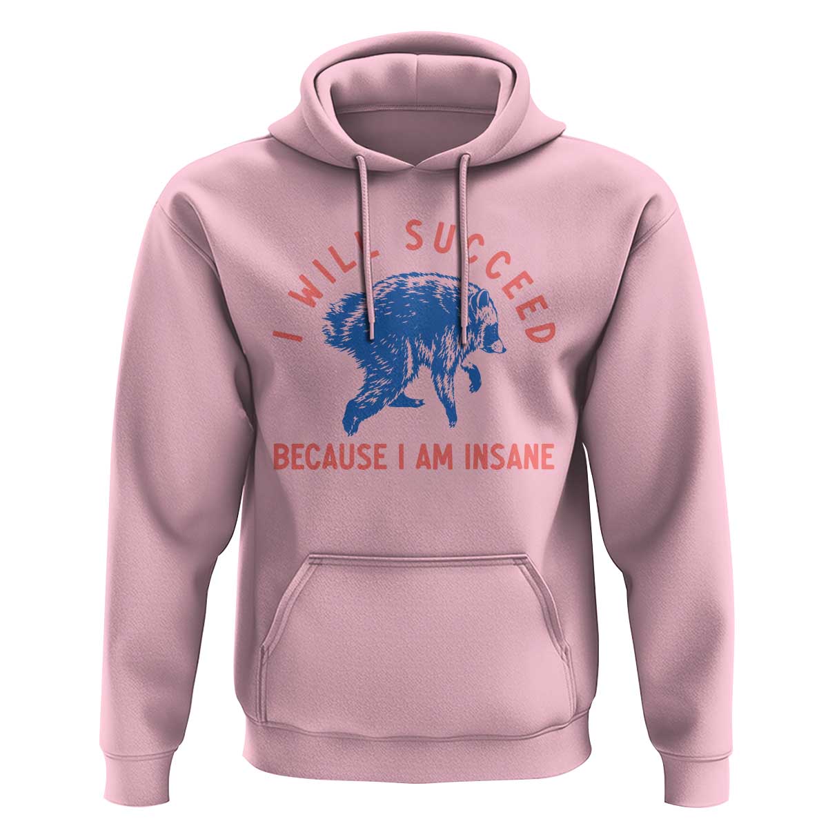 I Will Succeed Because I Am Insane Hoodie Funny Jimothy Raccoon Meme