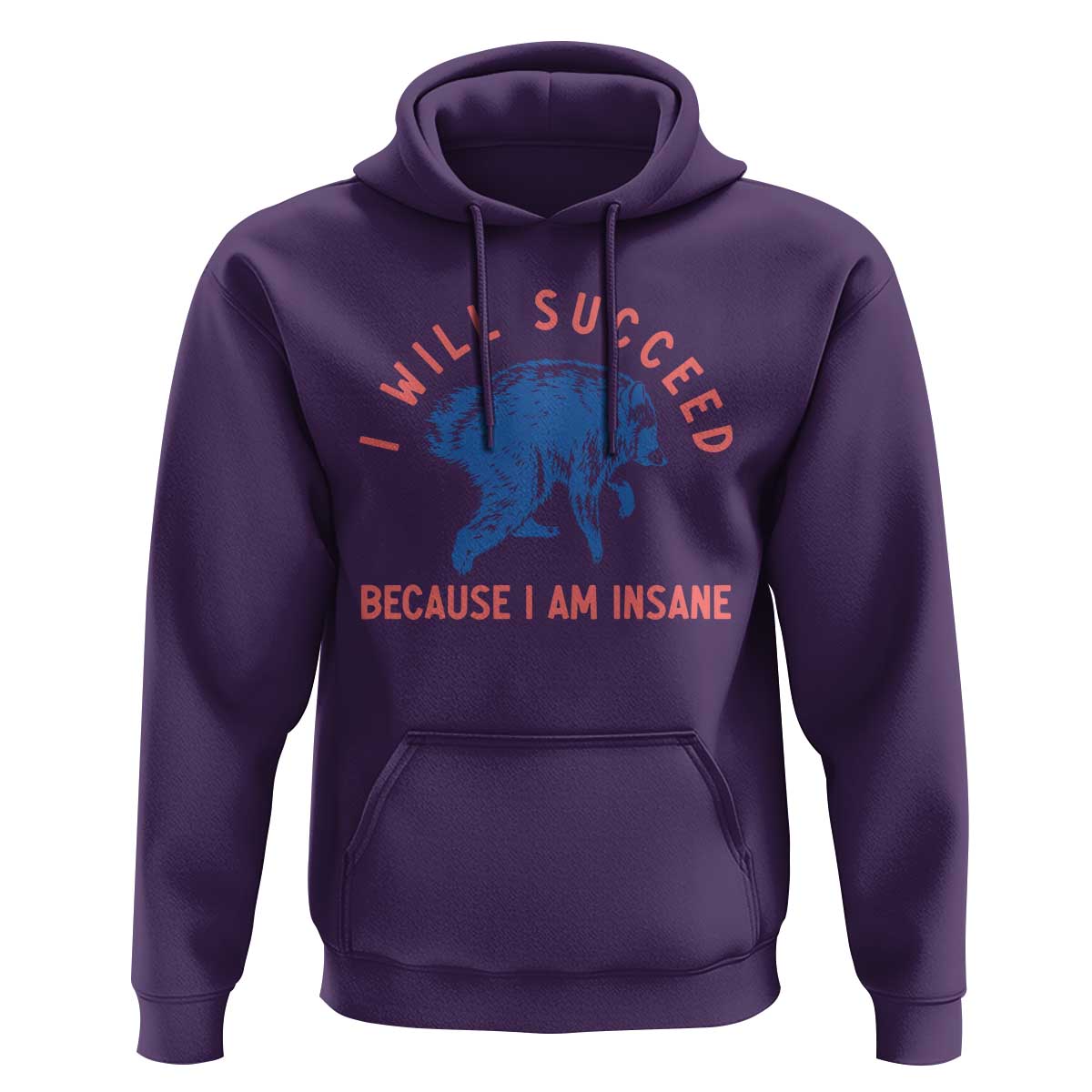 I Will Succeed Because I Am Insane Hoodie Funny Jimothy Raccoon Meme