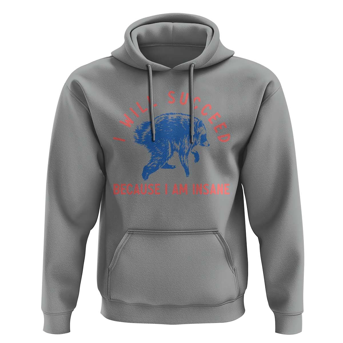 I Will Succeed Because I Am Insane Hoodie Funny Jimothy Raccoon Meme