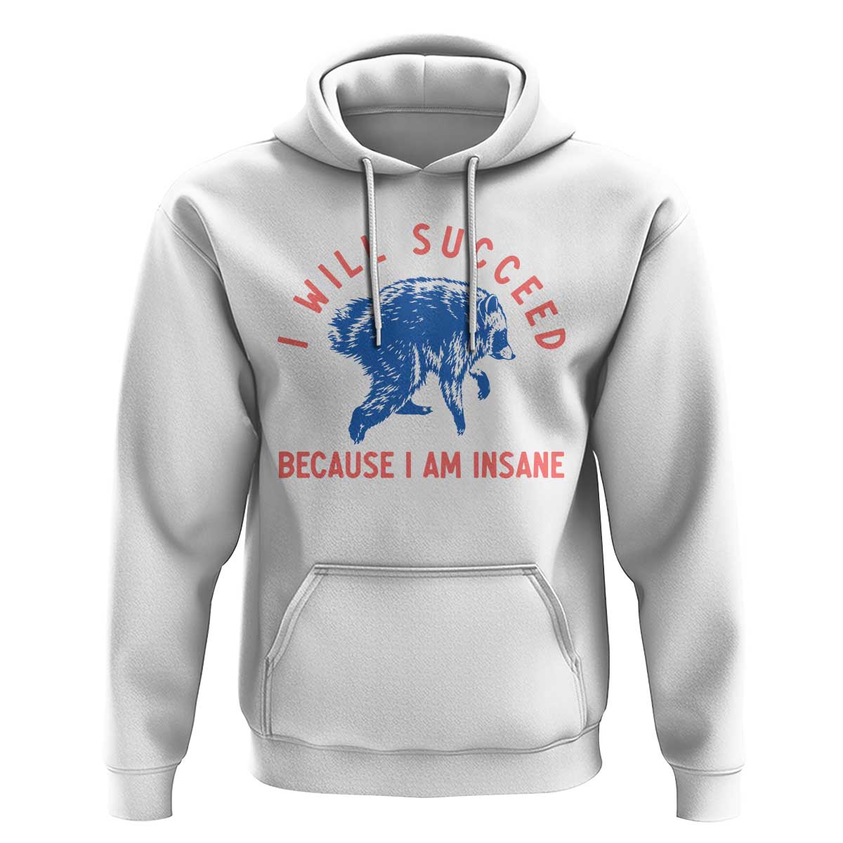 I Will Succeed Because I Am Insane Hoodie Funny Jimothy Raccoon Meme