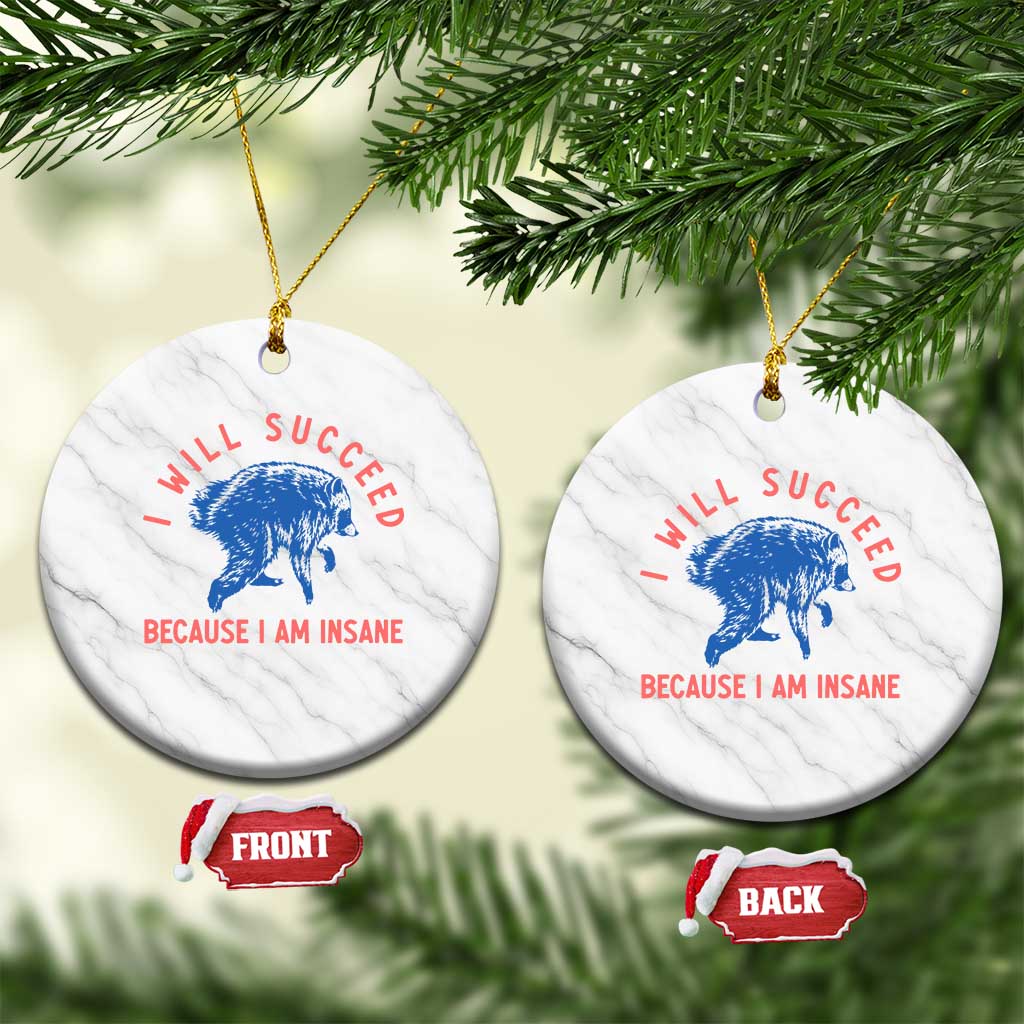 I Will Succeed Because I Am Insane Ceramic Ornament Funny Jimothy Raccoon Meme
