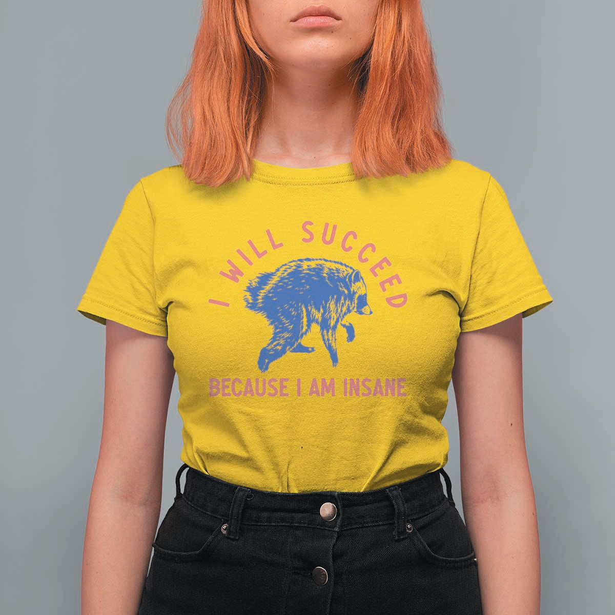 I Will Succeed Because I Am Insane T Shirt For Women Funny Jimothy Raccoon Meme