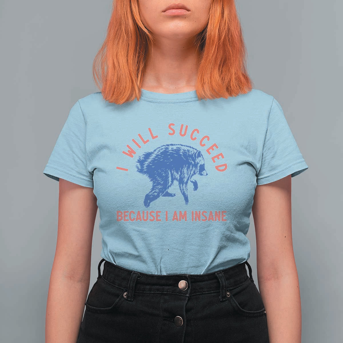 I Will Succeed Because I Am Insane T Shirt For Women Funny Jimothy Raccoon Meme