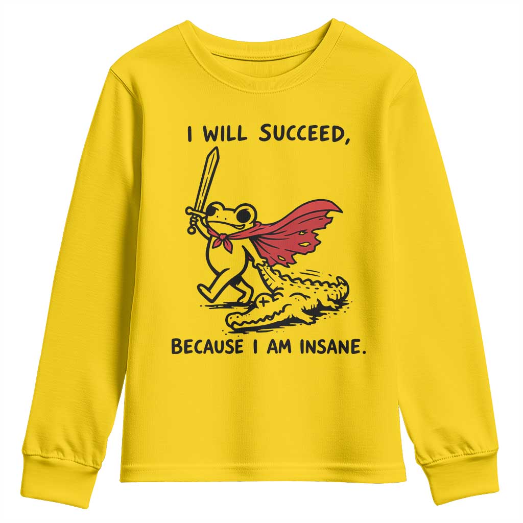 I Will Succeed Because I Am Insane Youth Sweatshirt Funny Frog Sarcastic Humor
