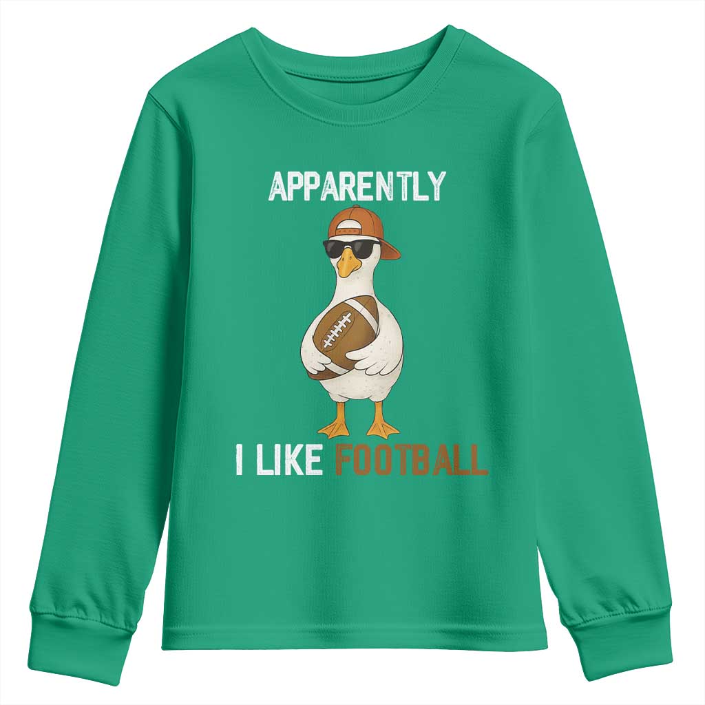 Funny Goose Football Youth Sweatshirt Apparently I Like Football - Wonder Print Shop