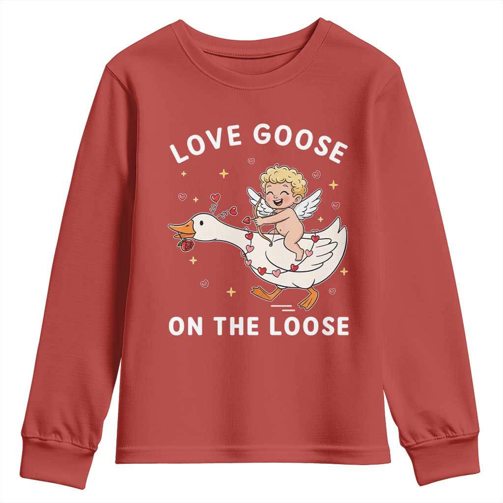 Funny Valentine Goose Youth Sweatshirt Love Goose On The Loose - Wonder Print Shop