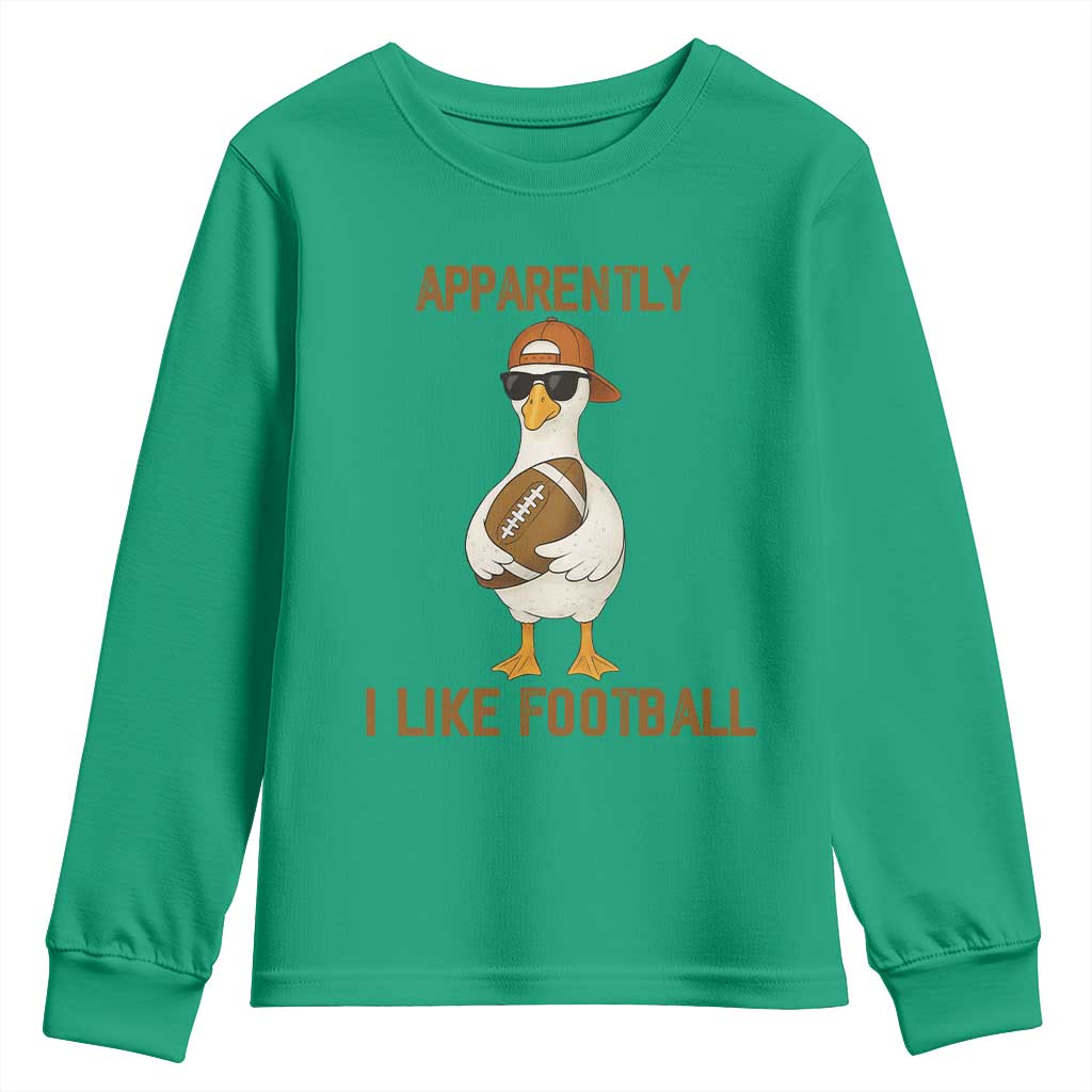 Funny Goose Football Meme Youth Sweatshirt Apparently I Like Football - Wonder Print Shop