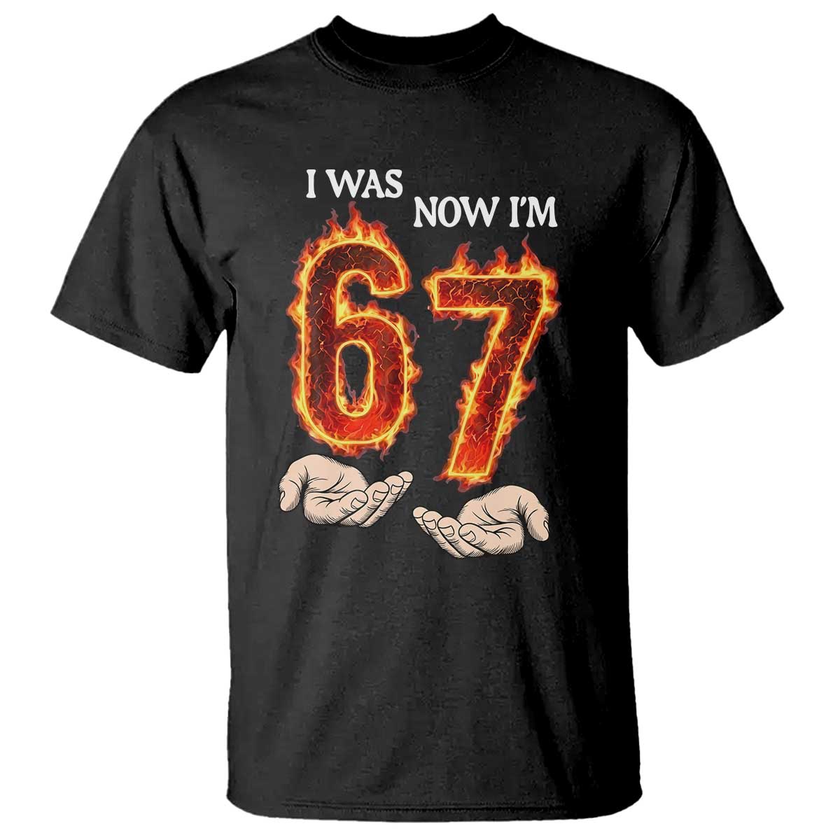 I Was 6 Now I'm 7 Birthday T Shirt Funny Six Seven Meme 67 Flame
