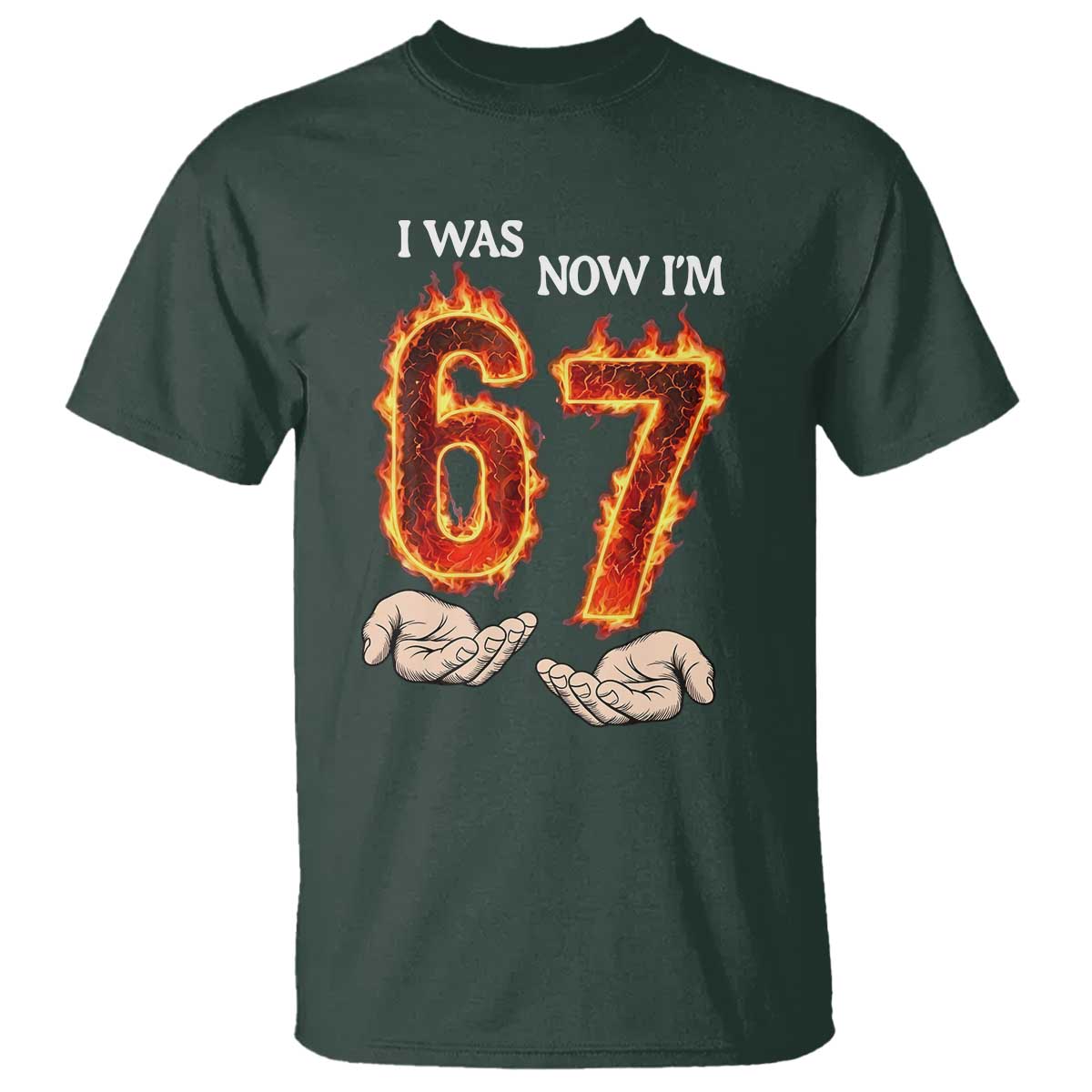 I Was 6 Now I'm 7 Birthday T Shirt Funny Six Seven Meme 67 Flame