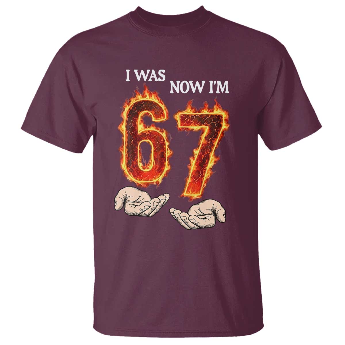 I Was 6 Now I'm 7 Birthday T Shirt Funny Six Seven Meme 67 Flame
