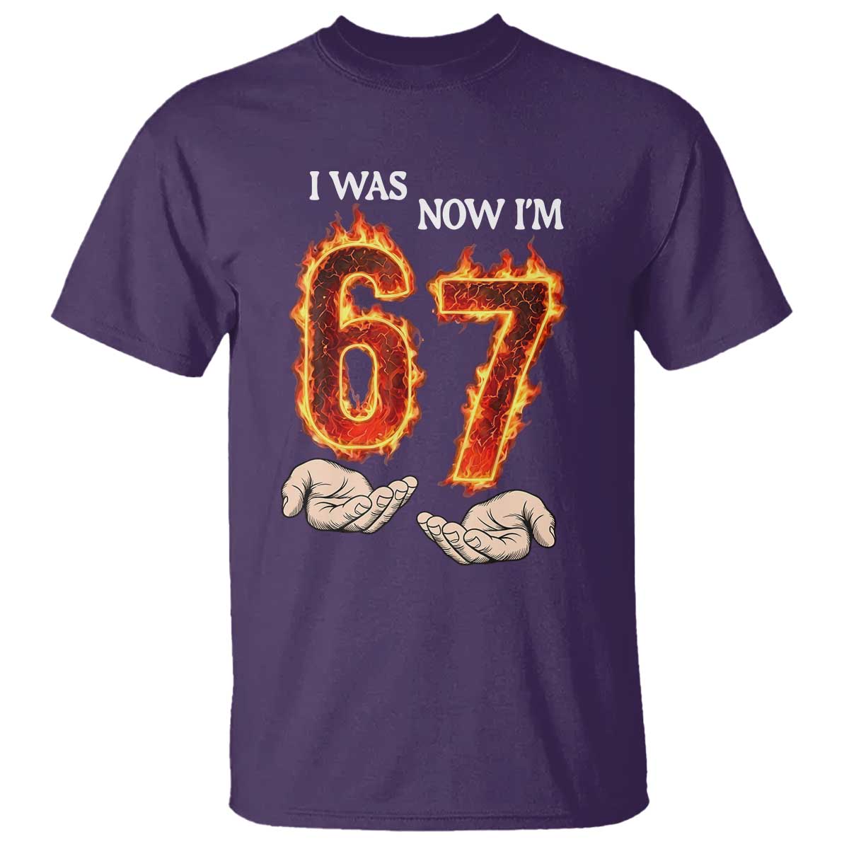 I Was 6 Now I'm 7 Birthday T Shirt Funny Six Seven Meme 67 Flame